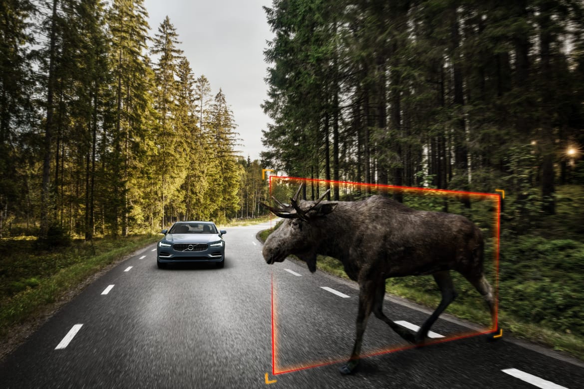 Volvo_Large_Animal_Detection.jpg