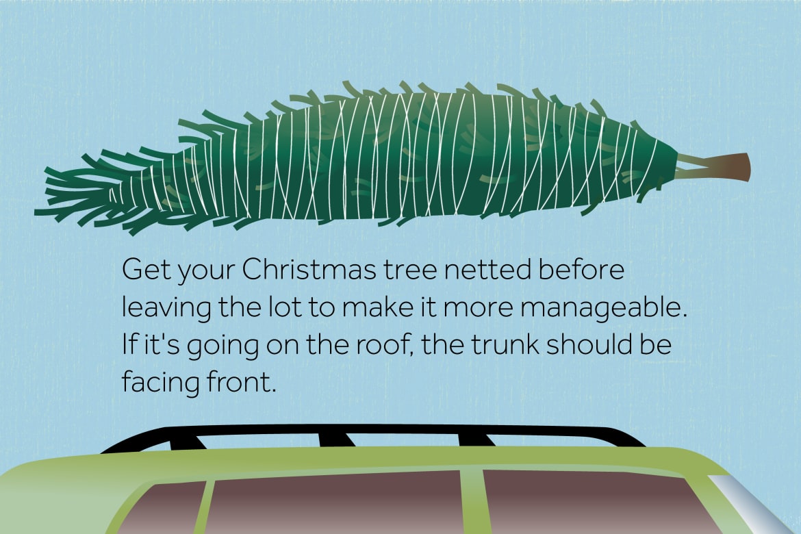 Xmas_Tree_travel_3.2_2.jpg