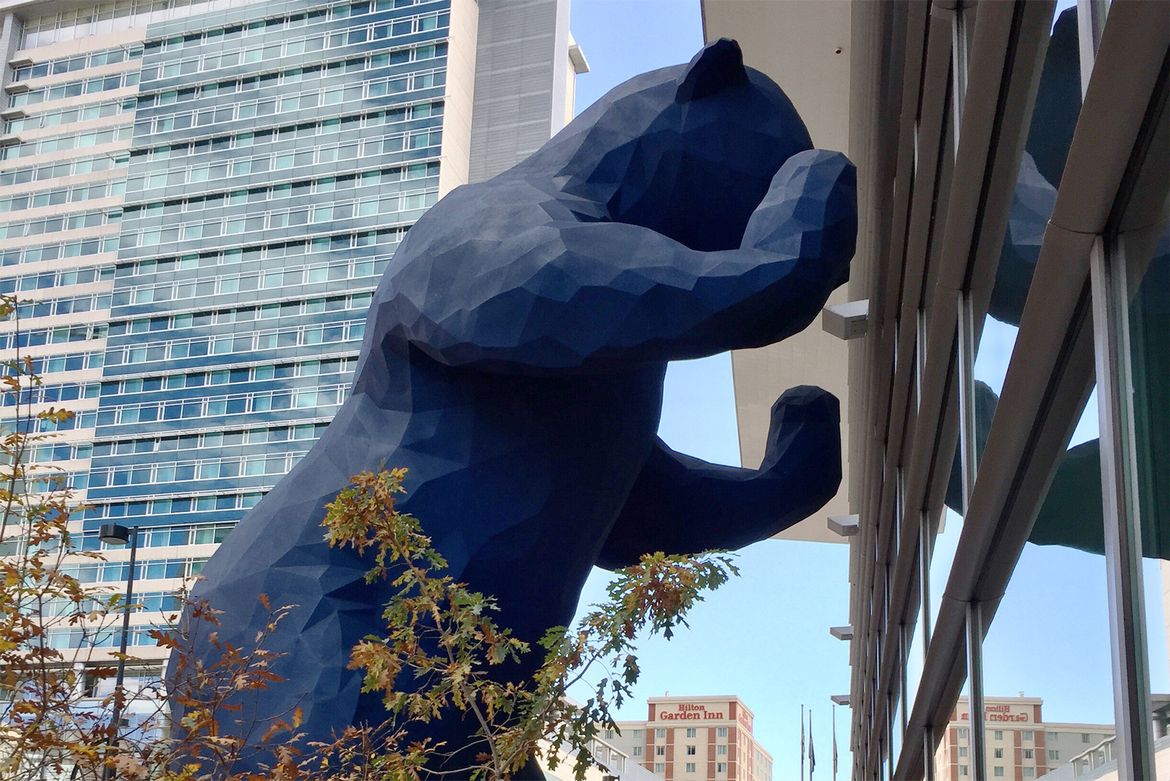 DENVER BLUE BEAR.jpg