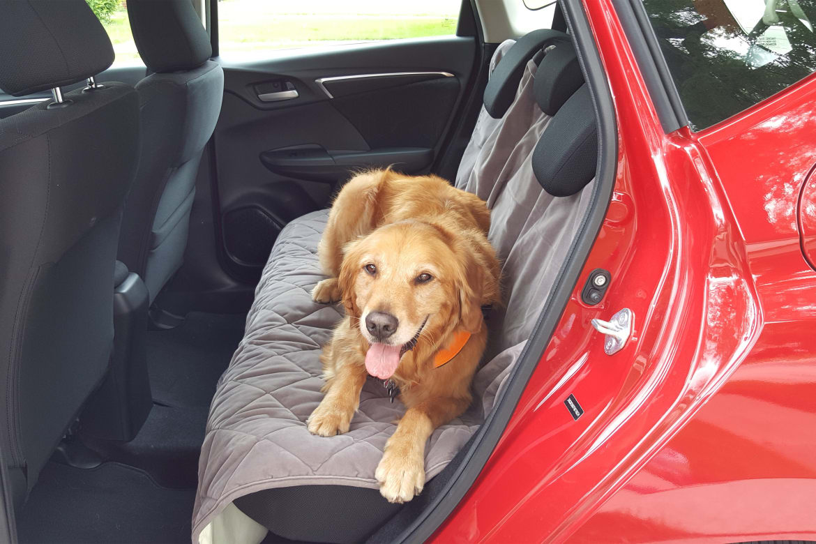 Got Pets These Products Make Travel Easier News Cars Com Orvis Seat Cover Jenb Jpg