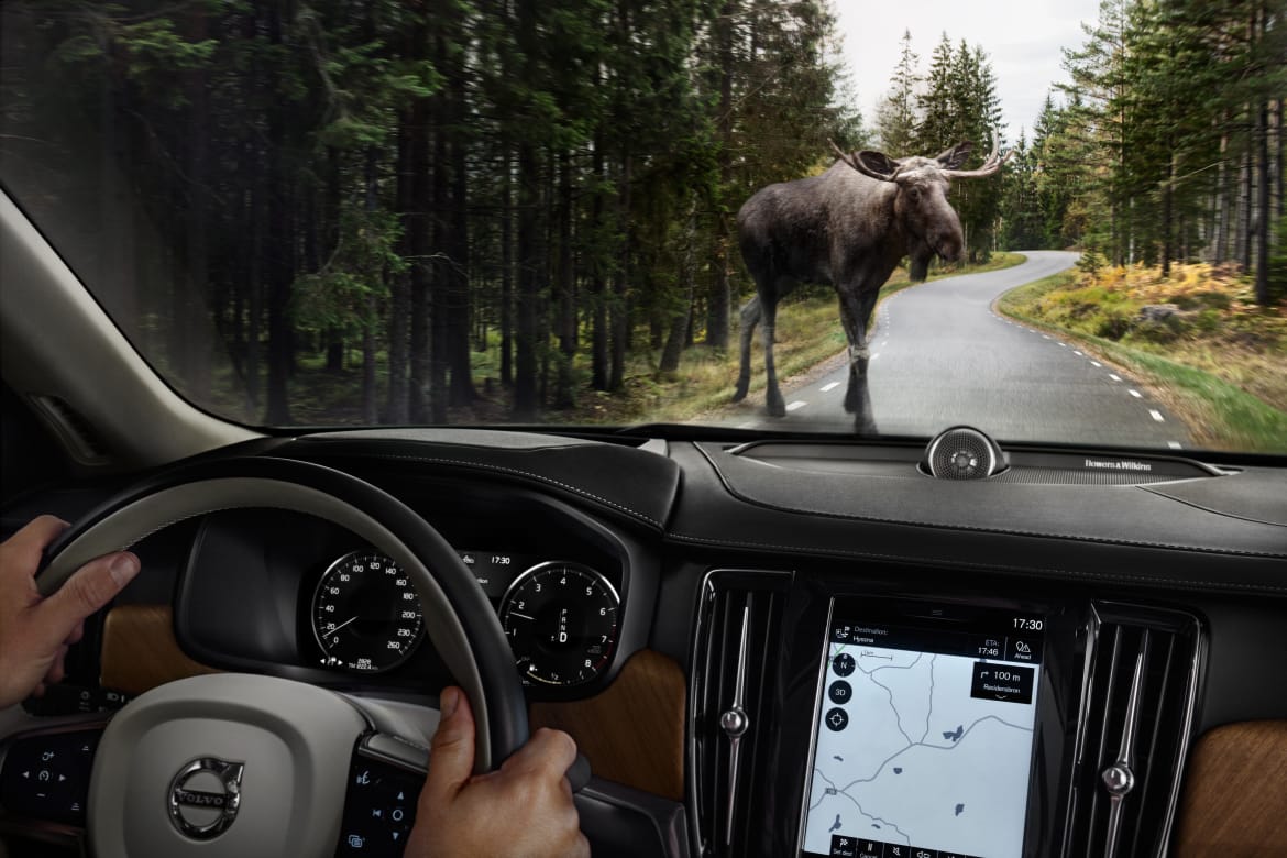 Volvo_Large_Animal_Detection_Interior.jpg